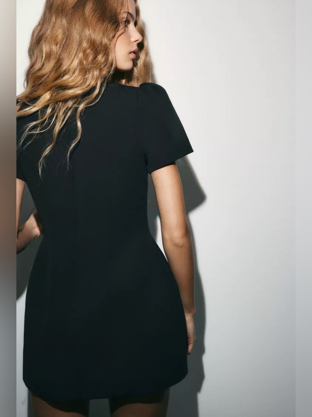 Zara Short Pleated Pocket Dress - Picture 5 of 13